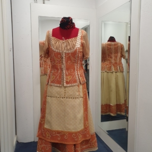 Traje Medieval Ayudanta del castillo